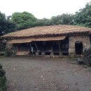 성읍1리 이미지