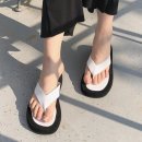 신꼬가 이미지