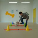 공간 페로 이미지