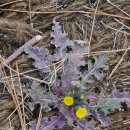 상명목장 이미지