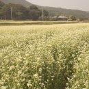 은성공원 이미지