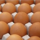 대순농장 이미지