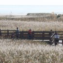 다대포해수욕장역 2번 출구 앞 이미지