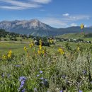 미국생활기-천국보다 아름다운..2편 이미지