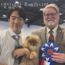 댕집사장 포메라니안 | 수원 세류동 강아지분양 댕집사장 포메라니안 가격 위치