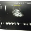 큰곰약국 이미지