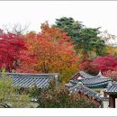 도산서원관리사무소