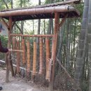 맹종죽테마파크1 이미지