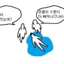 시엘컴퍼니