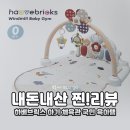 부림체육관 | 하베브릭스 아기 체육관 국민 육아템 내돈내산/후기