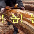 통나무이야기 이미지