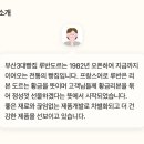 루반도르 이미지