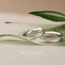 소그노 이미지
