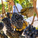 B.D.M(비디엠) 이미지