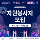 [봉사 대외활동] 제18회 부산불꽃축제 자원봉사자 모집 이미지