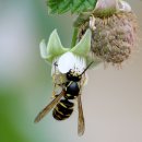 참뿌리한의원 이미지