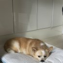 아산 아랑 여행