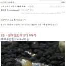 킹콩아쿠아 이미지