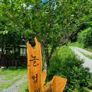 놀멍애견펜션 이미지