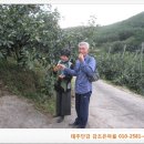 단감빵체험농장