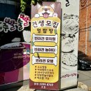 멍탑방 이미지