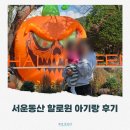 동산19-14 농로 | 포천 서운동산 아기랑 다녀온 후기(+입장료, 주변 식당 추천)