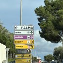 호텔 행아웃 | 마요르카 현지인 부부와 행아웃 🪇 남부에서 마지막 하루 (에스메랄다, 산타니)