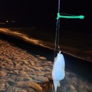 (6월낚시) 아빠들의 육아 해방 일지 in 양양