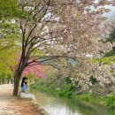 일기 아홉_경주 파트투