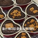 홉학원 | 울산 베이킹 정규 클래스 취미반으로 구움과자, 쿠키, 비건 쌀빵까지 마스터