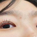 예인미가 이미지