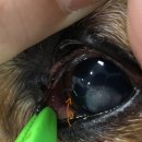 창원동물병원 이미지