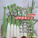 송가네농산물