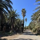 세도귀덕보건진료소 | 제주 2박3일 여행 @3일차 :::상가리야자수숲 / 영국찻집 / 집의기록상점 / 골목카페옥수