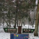 송악산 숲길 이미지