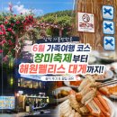 그늘막97 | 삼척 가볼만한곳 6월 가족 여행 코스 장미축제부터 해원펠리스 대게까지 솔직 후기