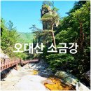 진고개로 | [오대산] 알레버스 소금강 등산코스 후기, 진고개~노인봉~구룡폭포 계곡 산행