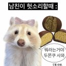 햅비
