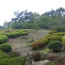 숲쟁이꽃동산 이미지