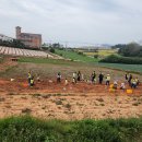 전남도청비둘기어린이집 이미지