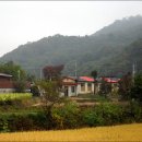 백학산 이미지