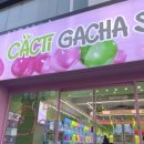캑티 가챠샵 건대점 이미지