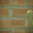 옥곡중학교 이미지