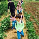 신하목장 이미지