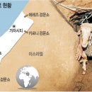 가자 - 부천시 원미구 부천로10번길 53 | 가자
