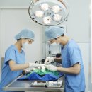 고려종합동물병원 이미지