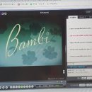 (수11:30)류연우 동시통역(Bambi) 이미지