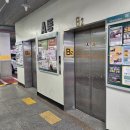 제이애견샵 | 부천 상동역 미용실 애견 동반 제이플레이샵 레이어드 컷 성공후기