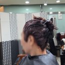 천연염색 | 안산 뿌리 염색 잘하는 곳 '아비가일 안산지사' 천연 새치 염색 후기