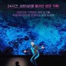 다름수선